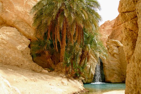9 причин відвідати Туніс цього літа